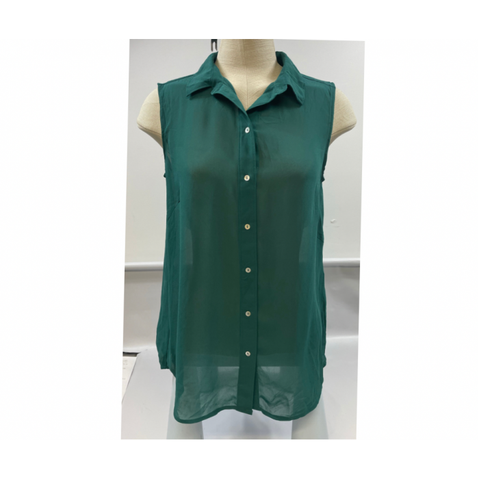 blouse vert transparente / large